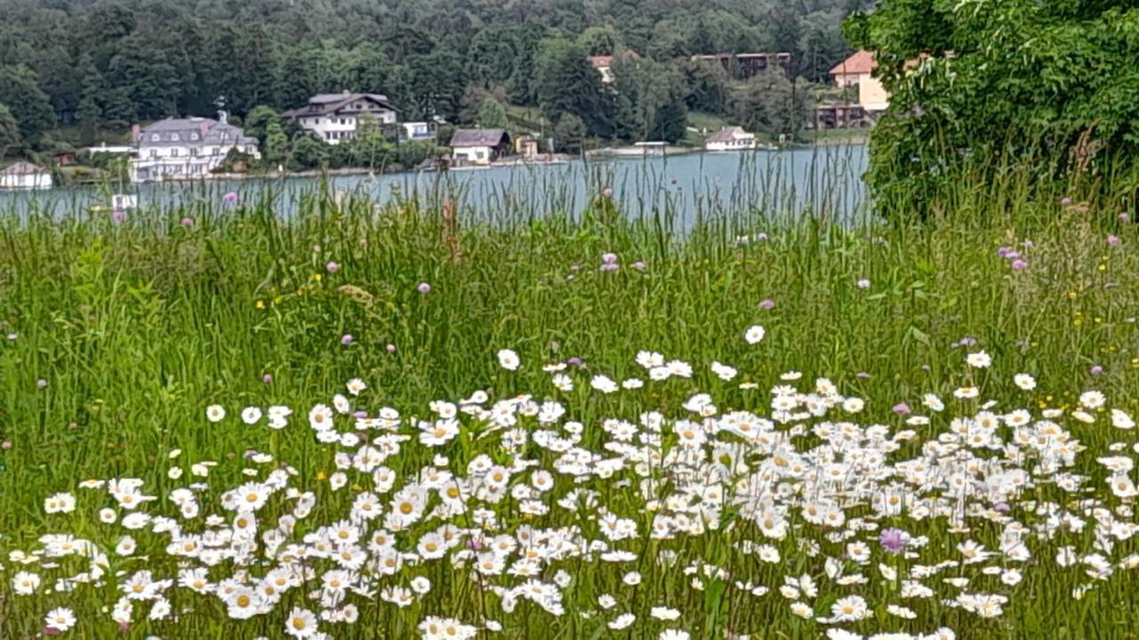 Glanz Und Gloria Velden! Woerthersee In 5 Min Zu Fuss Erreichbar! فيلدين ام ورثرسي المظهر الخارجي الصورة